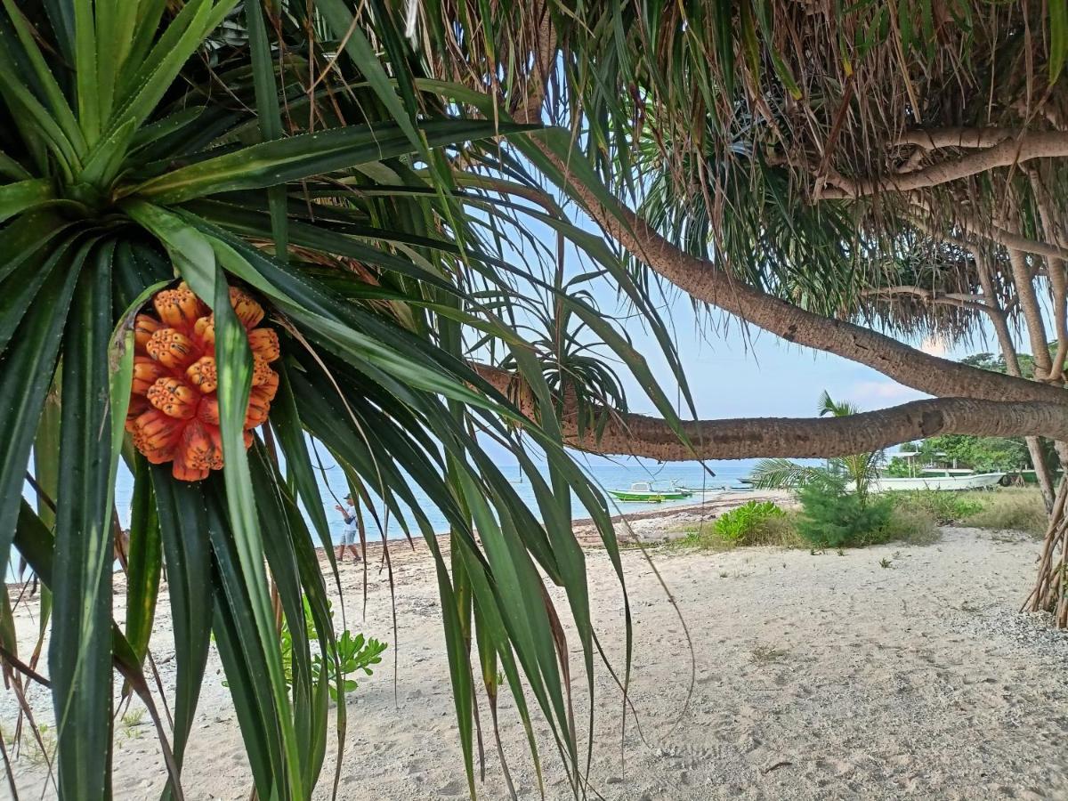 Villa Gilimakyah Gili Air Eksteriør bilde